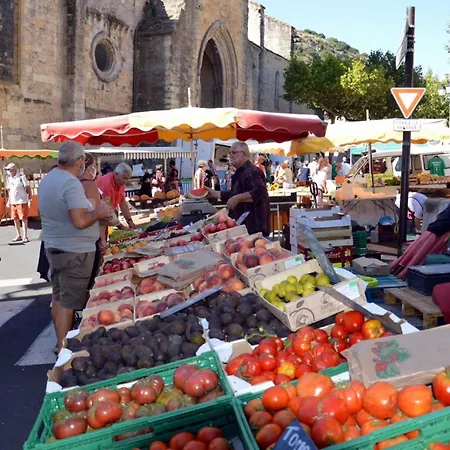 Les Mazets Du Rouret Proche D'anduze Gard *