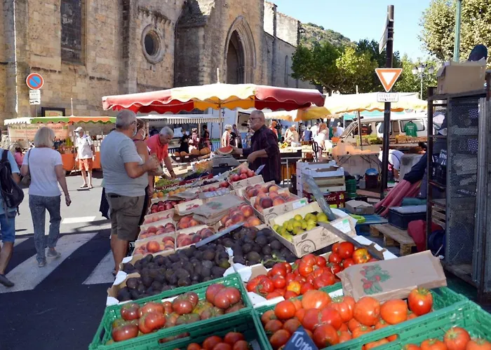Les Mazets Du Rouret Proche D'anduze Gard *